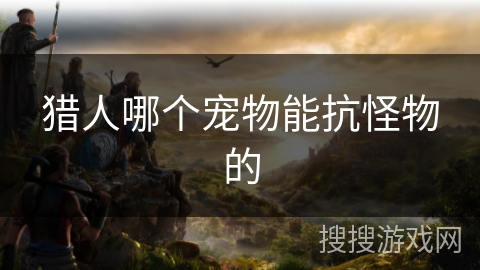 猎人哪个宠物能抗怪物的