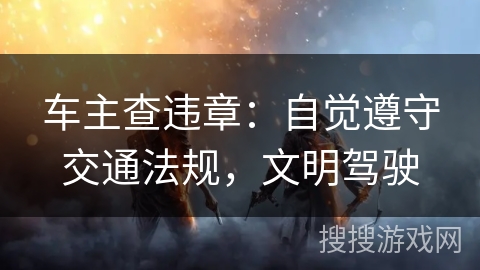 车主查违章：自觉遵守交通法规，文明驾驶
