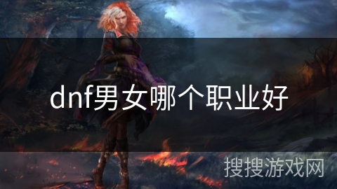 dnf男女哪个职业好 dnf男女哪个职业好