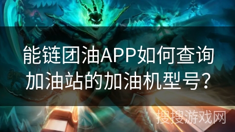 能链团油APP如何查询加油站的加油机型号？