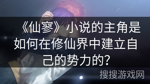 《仙寥》小说的主角是如何在修仙界中建立自己的势力的？