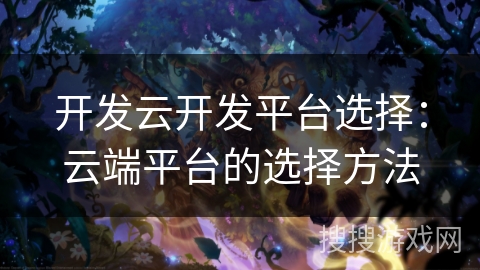 开发云开发平台选择:云端平台的选择方法 开发云开发平台选择:云端平台的选择方法
