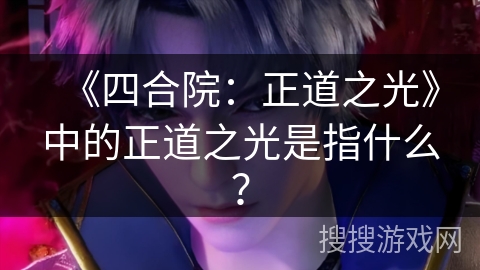 《四合院：正道之光》中的正道之光是指什么？
