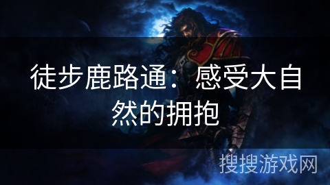 徒步鹿路通：感受大自然的拥抱