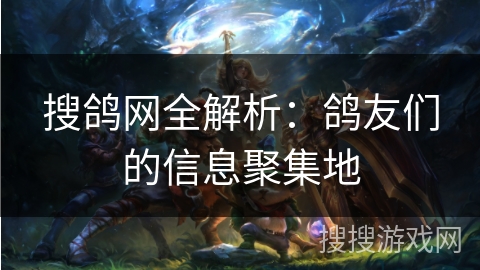 搜鸽网全解析：鸽友们的信息聚集地