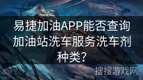 易捷加油APP能否查询加油站洗车服务洗车剂种类？