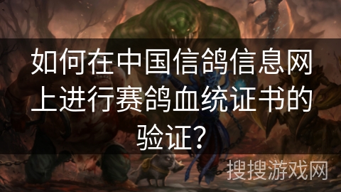 如何在中国信鸽信息网上进行赛鸽血统证书的验证？