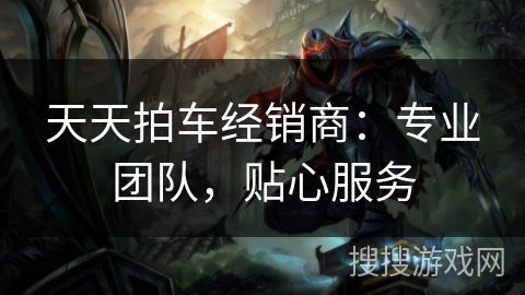 天天拍车经销商:专业团队,贴心服务 天天拍车经销商:专业团队,贴心服务