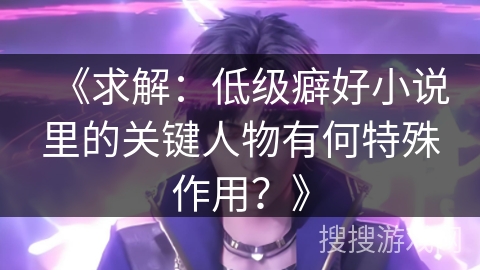 《求解：低级癖好小说里的关键人物有何特殊作用？》