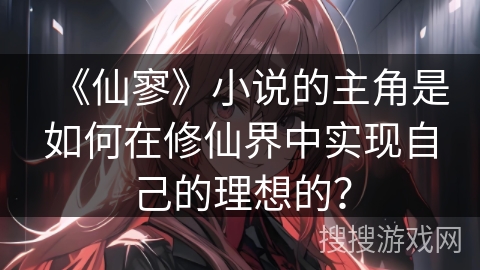 《仙寥》小说的主角是如何在修仙界中实现自己的理想的？
