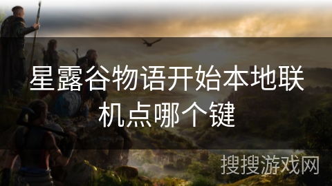 星露谷物语开始本地联机点哪个键