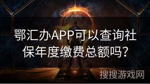 鄂汇办APP可以查询社保年度缴费总额吗？