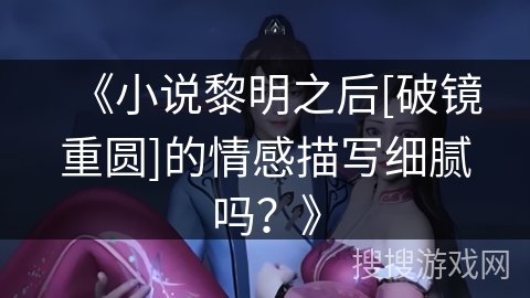《小说黎明之后[破镜重圆]的情感描写细腻吗？》