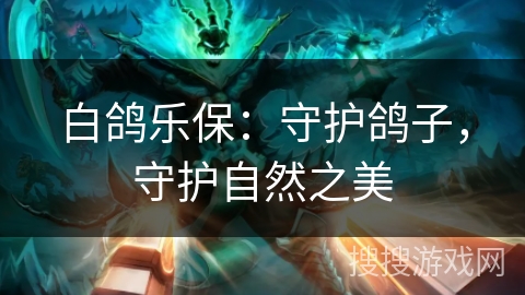 白鸽乐保：守护鸽子，守护自然之美