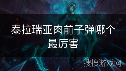 泰拉瑞亚肉前子弹哪个最厉害