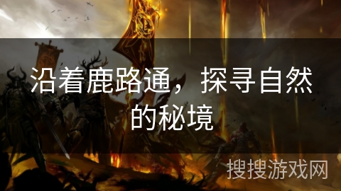 沿着鹿路通，探寻自然的秘境