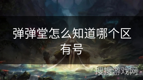 弹弹堂怎么知道哪个区有号