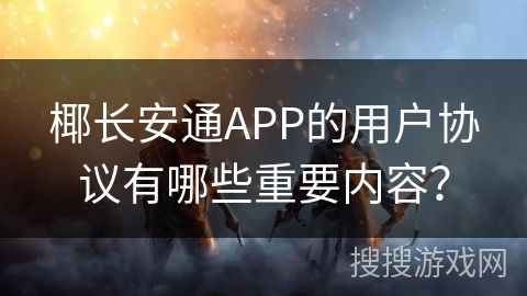 椰长安通APP的用户协议有哪些重要内容？