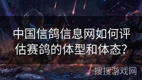 中国信鸽信息网如何评估赛鸽的体型和体态？