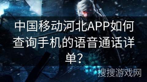 中国移动河北APP如何查询手机的语音通话详单？