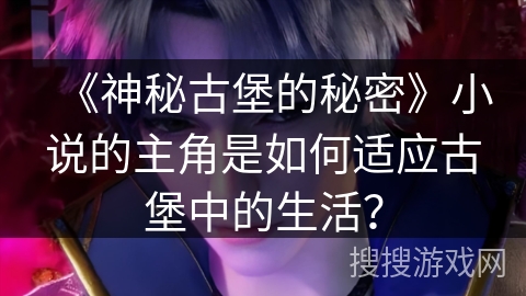 《神秘古堡的秘密》小说的主角是如何适应古堡中的生活？