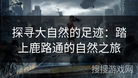 探寻大自然的足迹：踏上鹿路通的自然之旅