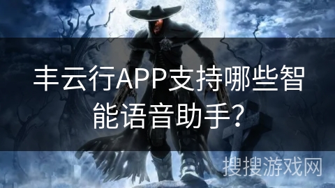 丰云行APP支持哪些智能语音助手？