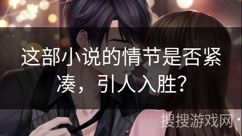 这部小说的情节是否紧凑，引人入胜？