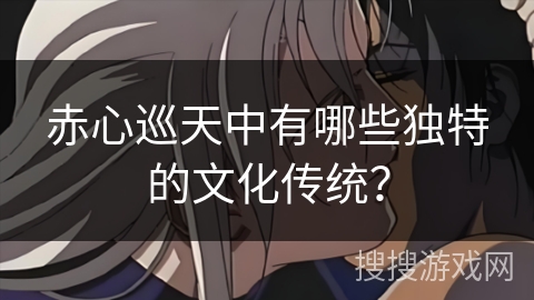 赤心巡天中有哪些独特的文化传统？