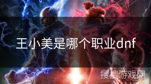 王小美是哪个职业dnf