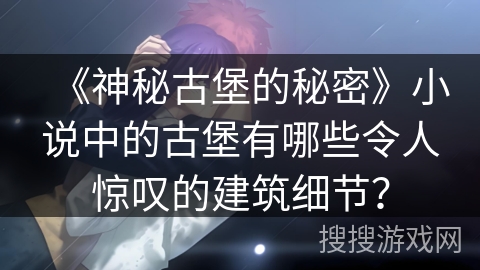 《神秘古堡的秘密》小说中的古堡有哪些令人惊叹的建筑细节？