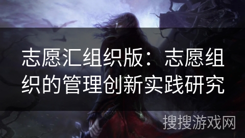 志愿汇组织版：志愿组织的管理创新实践研究