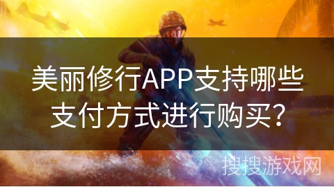 美丽修行APP支持哪些支付方式进行购买？