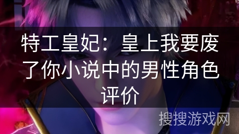 特工皇妃：皇上我要废了你小说中的男性角色评价