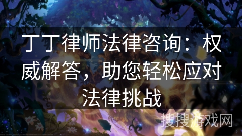 丁丁律师法律咨询：权威解答，助您轻松应对法律挑战