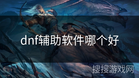 dnf辅助软件哪个好