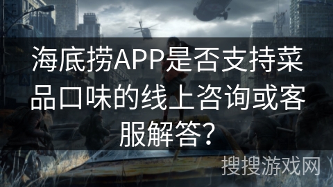 海底捞APP是否支持菜品口味的线上咨询或客服解答？
