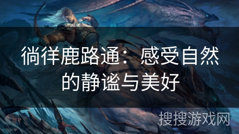 徜徉鹿路通：感受自然的静谧与美好