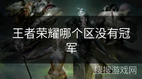 王者荣耀哪个区没有冠军