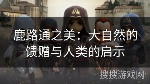 鹿路通之美：大自然的馈赠与人类的启示