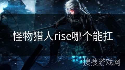怪物猎人rise哪个能扛