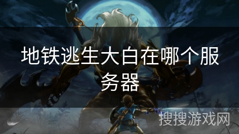 地铁逃生大白在哪个服务器