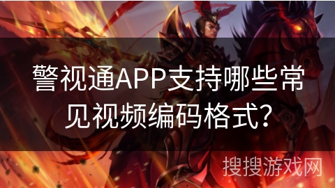 警视通APP支持哪些常见视频编码格式？