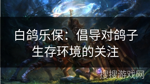 白鸽乐保：倡导对鸽子生存环境的关注