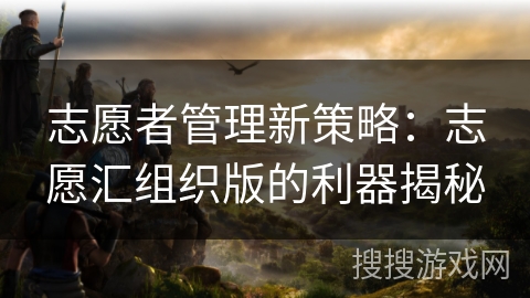 志愿者管理新策略：志愿汇组织版的利器揭秘