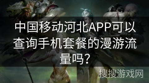 中国移动河北APP可以查询手机套餐的漫游流量吗？