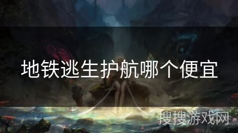 地铁逃生护航哪个便宜