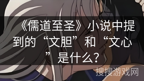 《儒道至圣》小说中提到的“文胆”和“文心”是什么？