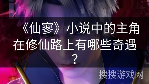 《仙寥》小说中的主角在修仙路上有哪些奇遇？