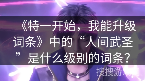 《特一开始，我能升级词条》中的“人间武圣”是什么级别的词条？